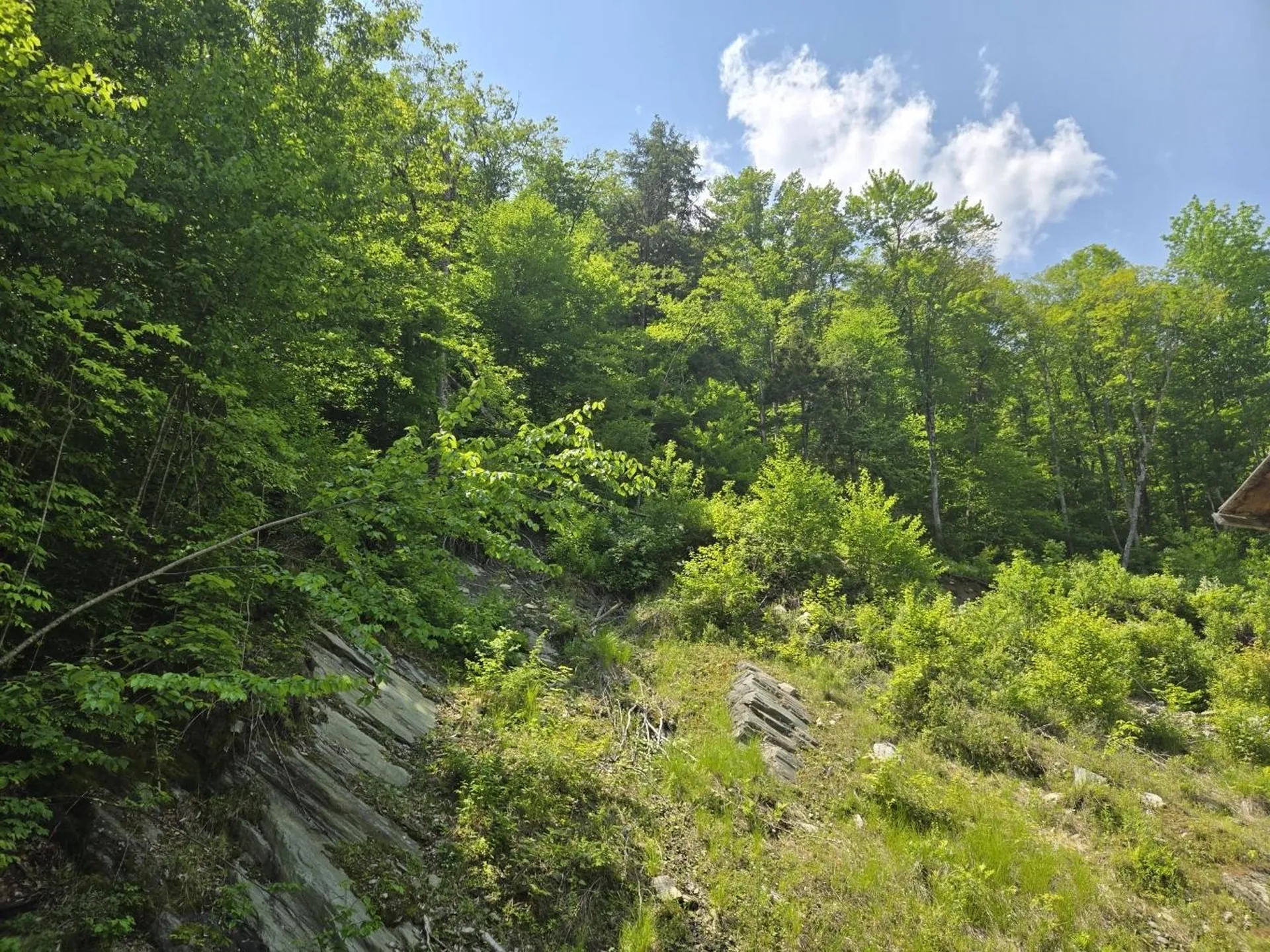 459 Sugar Hill Road Bethel VT 05032