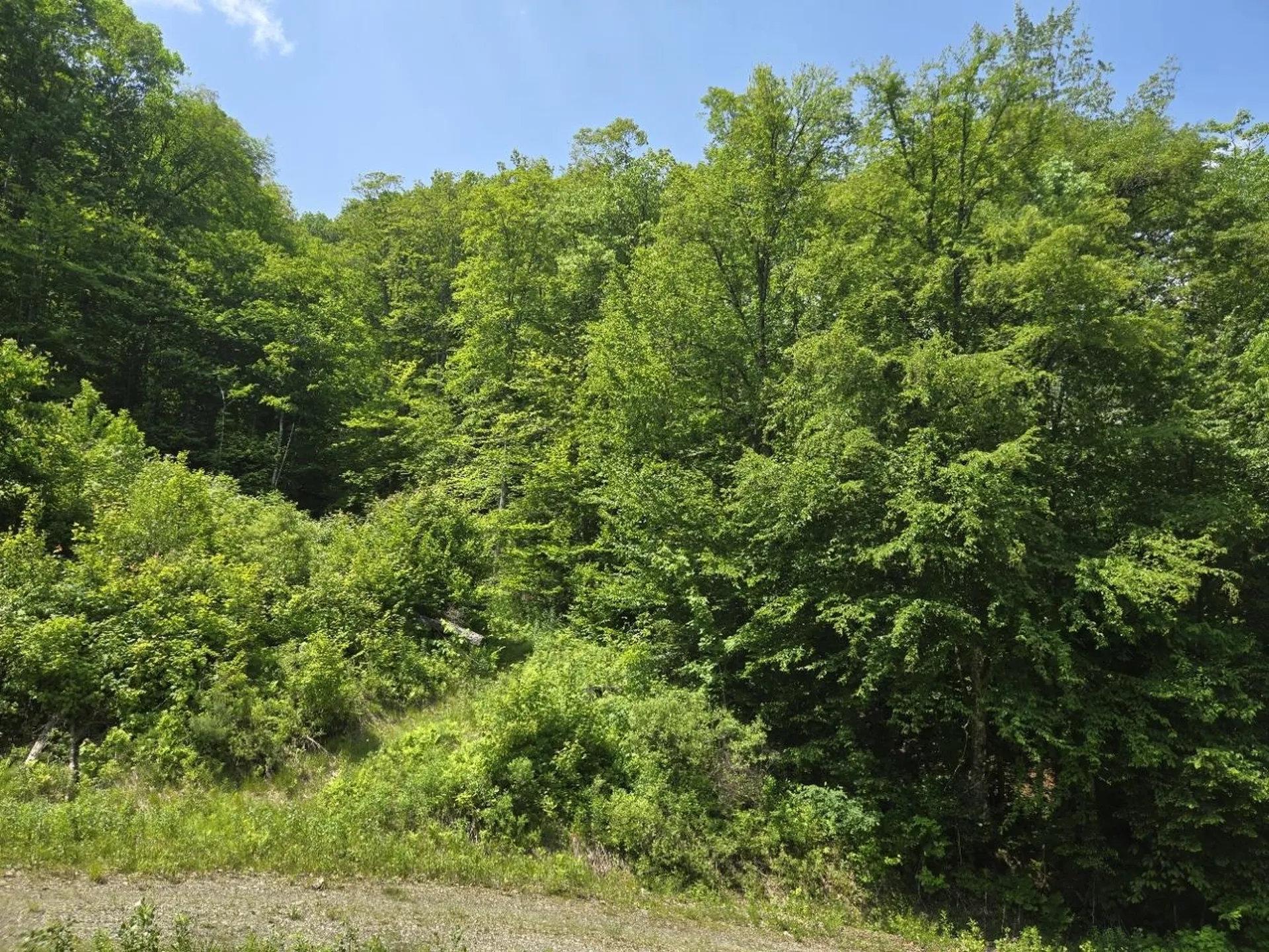 459 Sugar Hill Road Bethel VT 05032