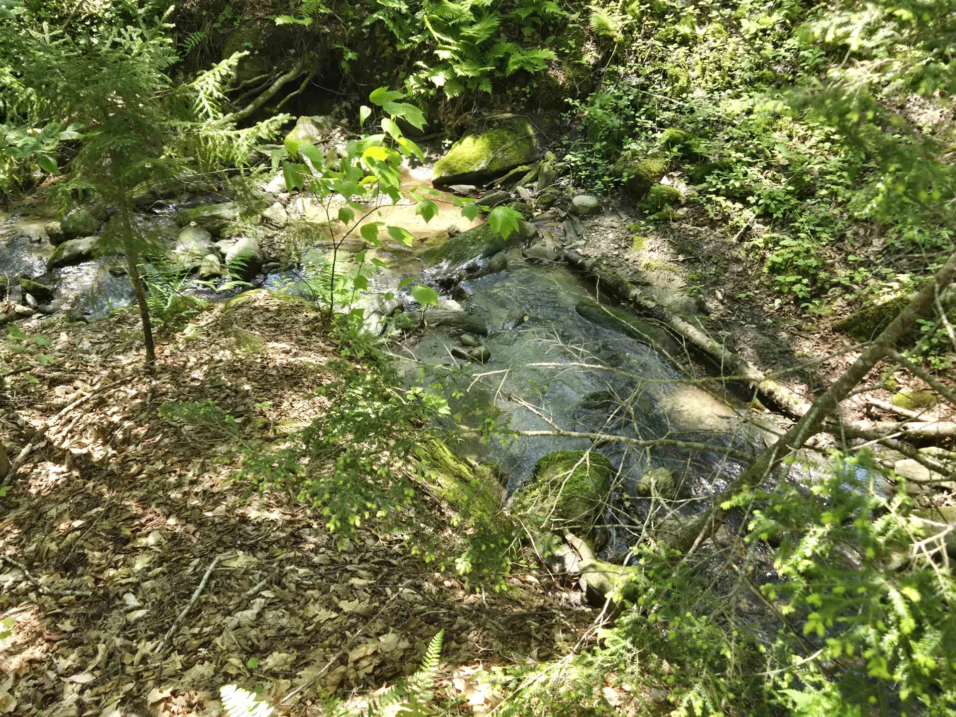 459 Sugar Hill Road Bethel VT 05032