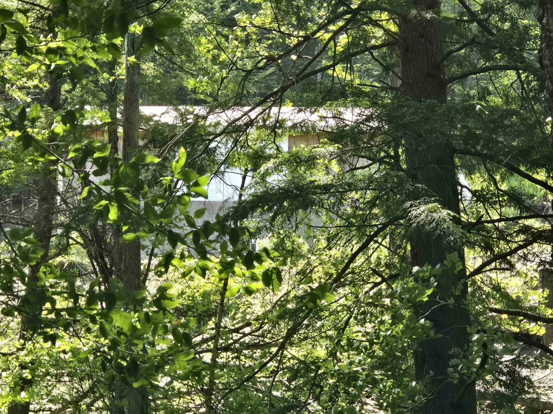 459 Sugar Hill Road Bethel VT 05032