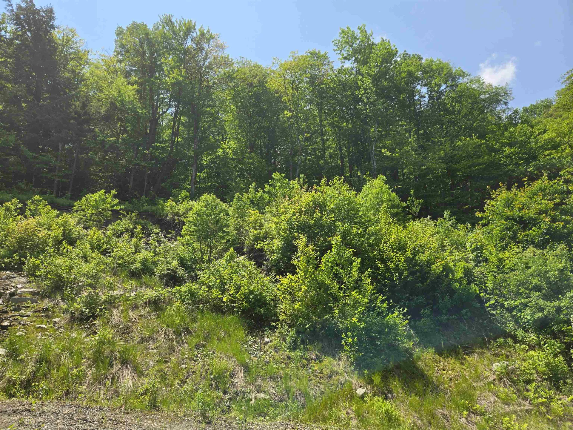 459 Sugar Hill Road Bethel VT 05032