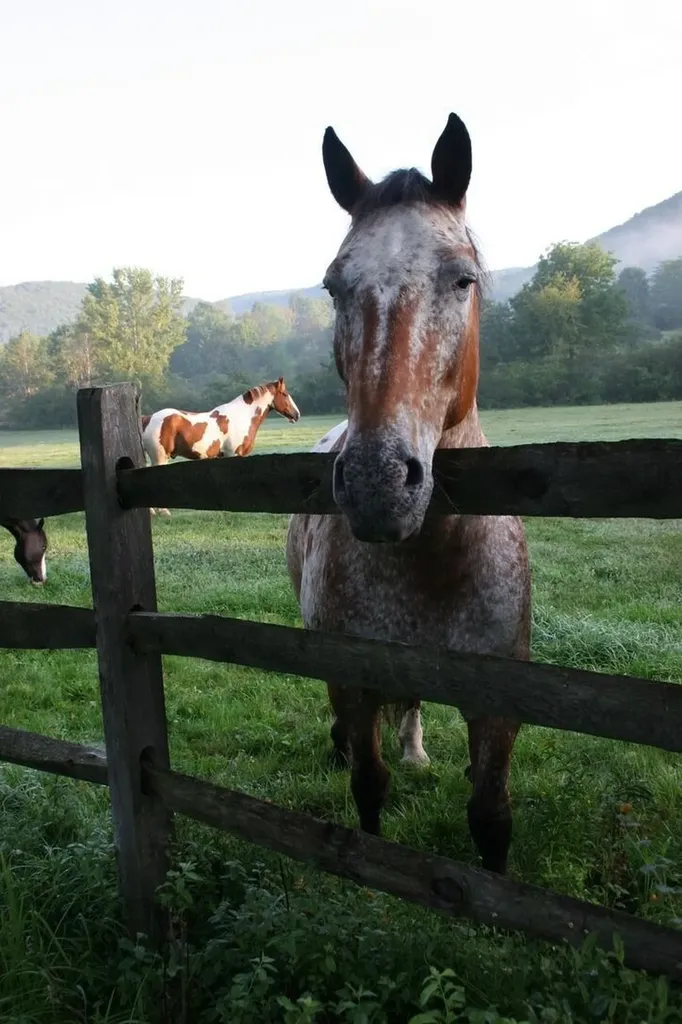 2589 W. Sandgate Road Sandgate VT 05250