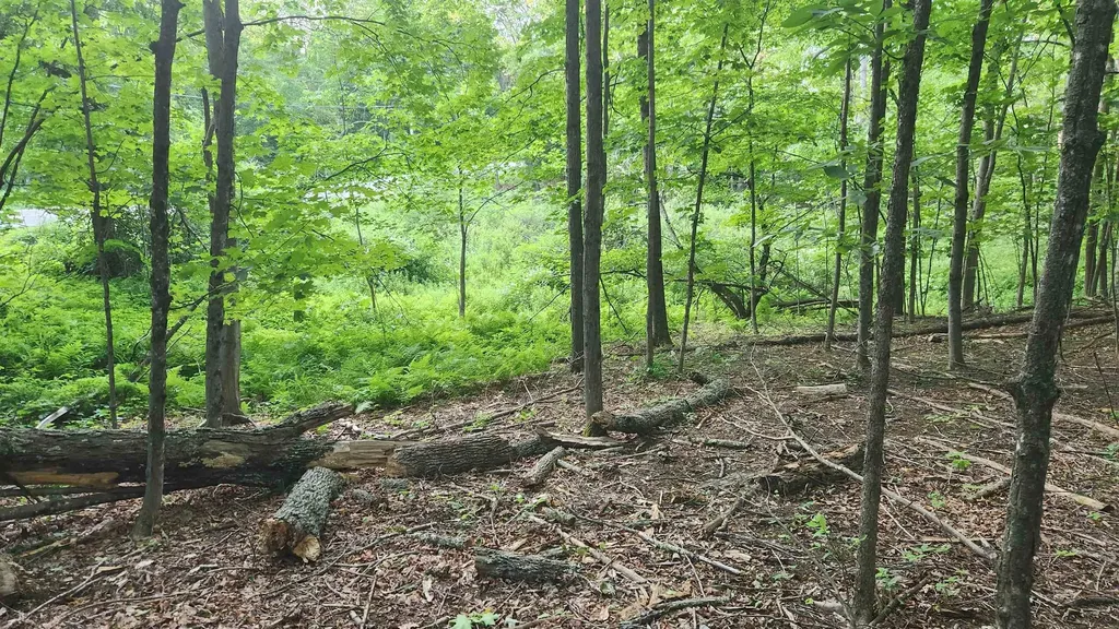 46-2 & 47 Route 153 Middleton NH 03887