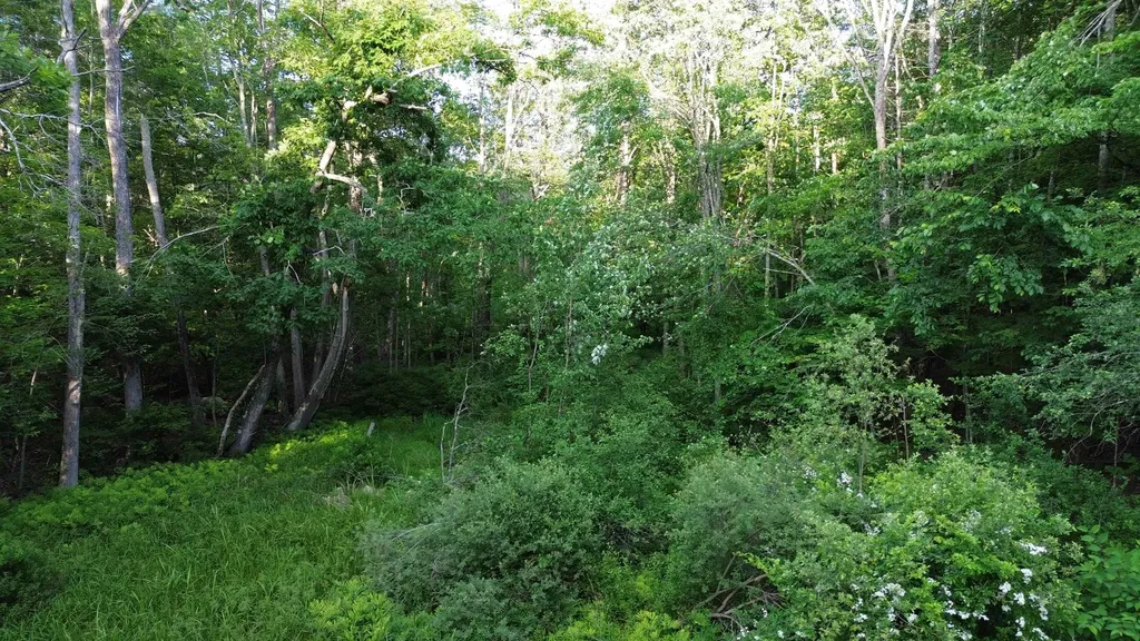 46-2 & 47 Route 153 Middleton NH 03887