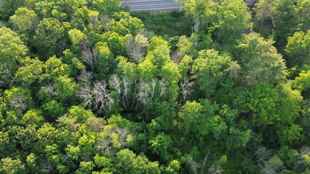 46-2 & 47 Route 153 Middleton NH 03887