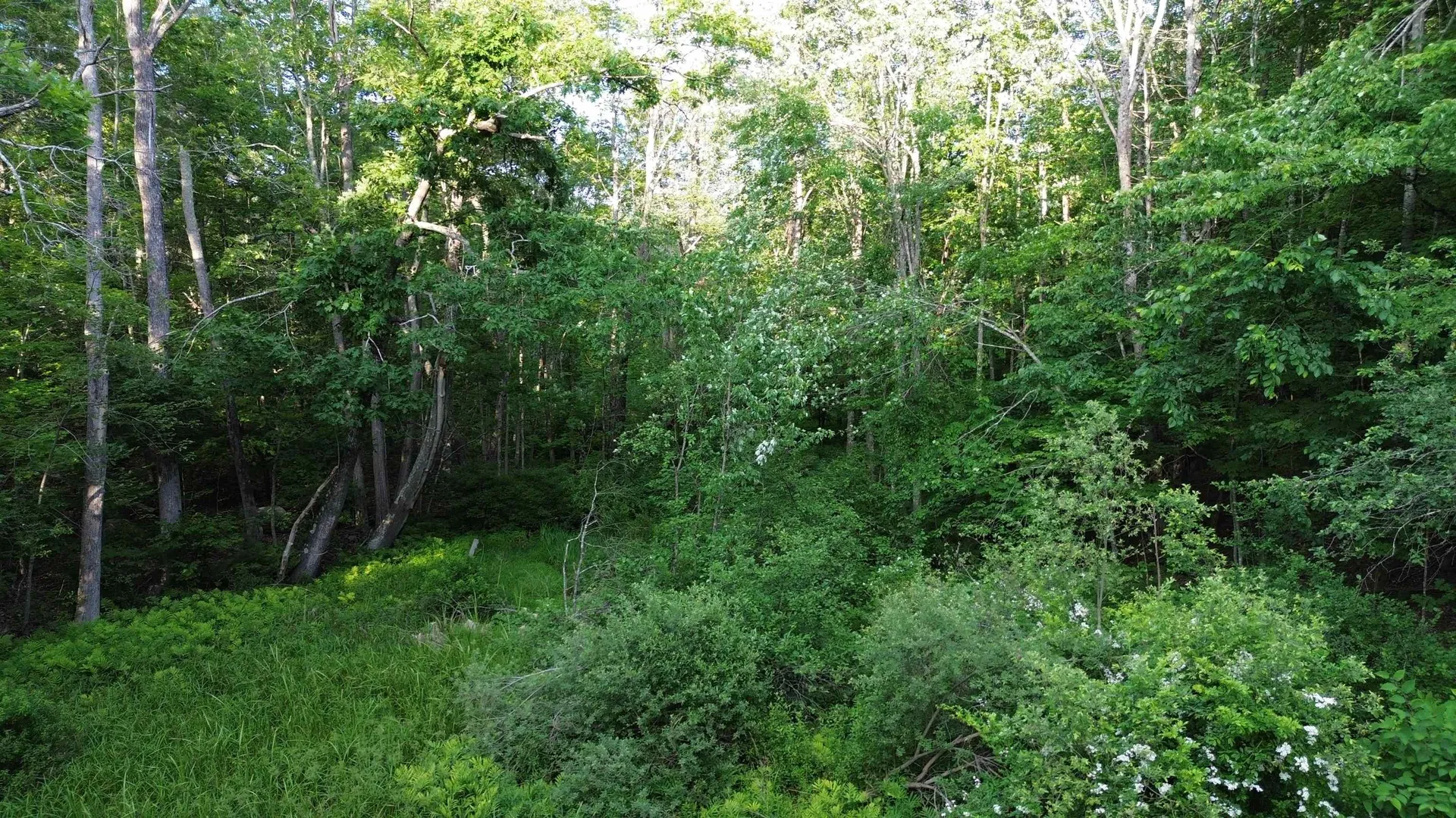 46-2 & 47 Route 153 Middleton NH 03887