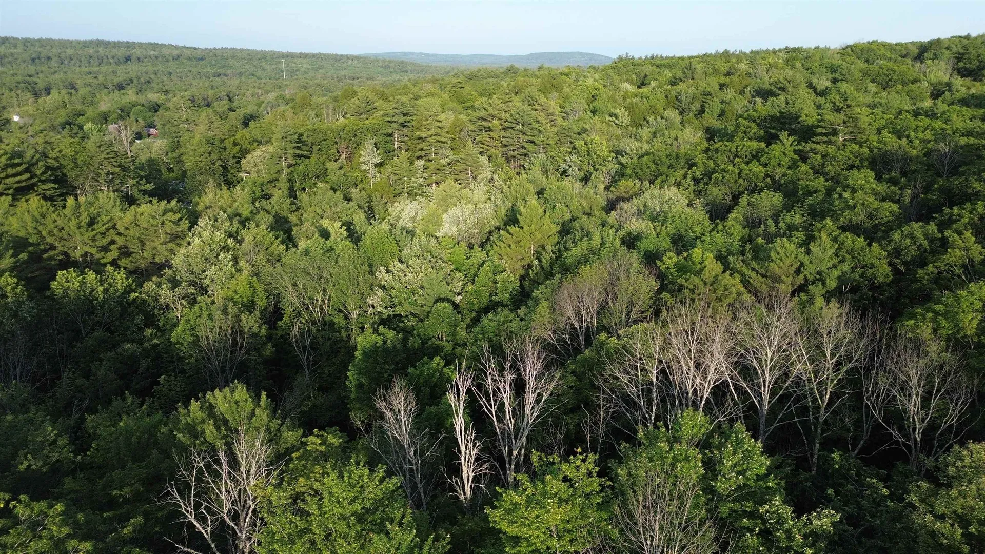 46-2 & 47 Route 153 Middleton NH 03887