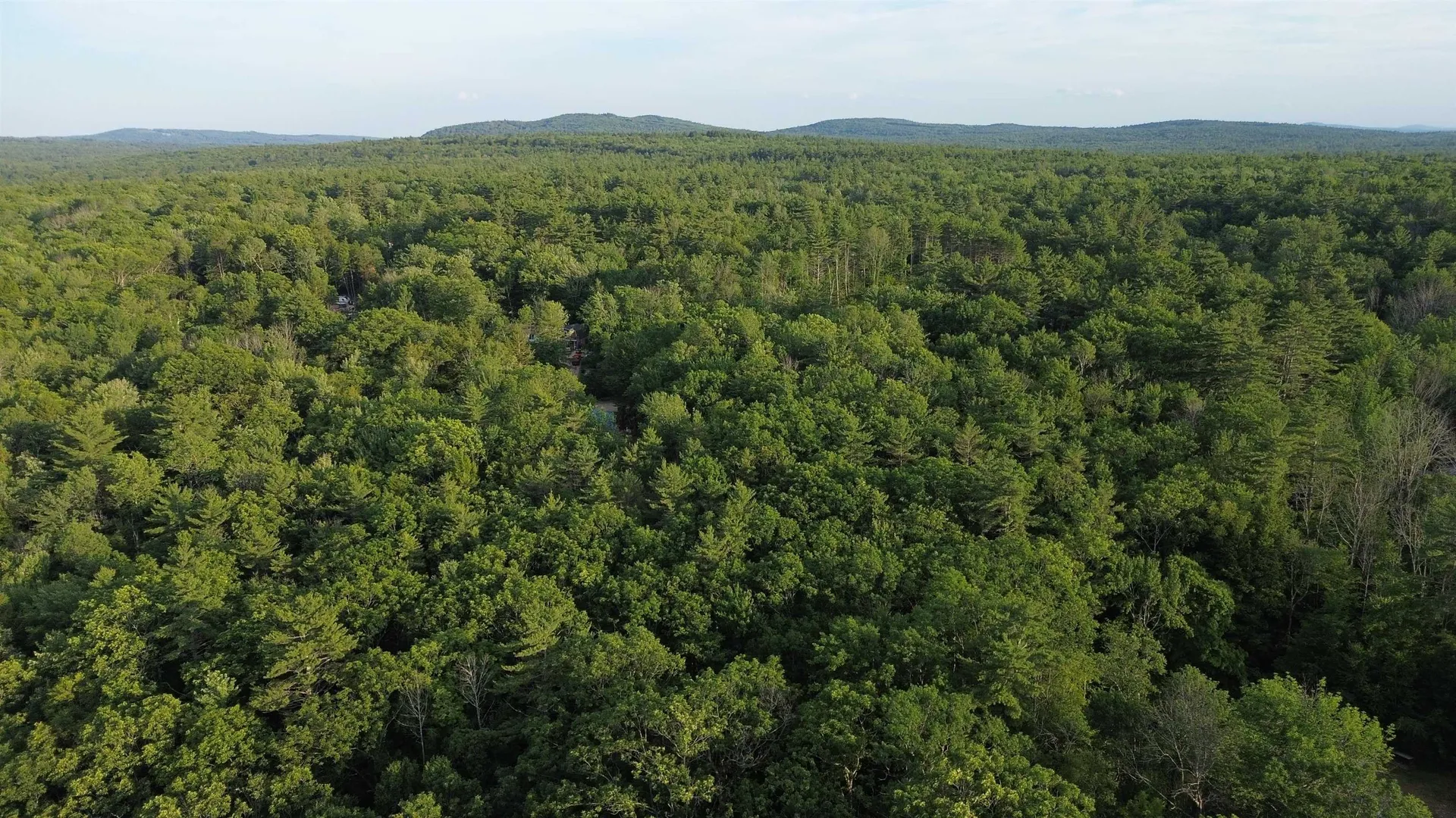 46-2 & 47 Route 153 Middleton NH 03887