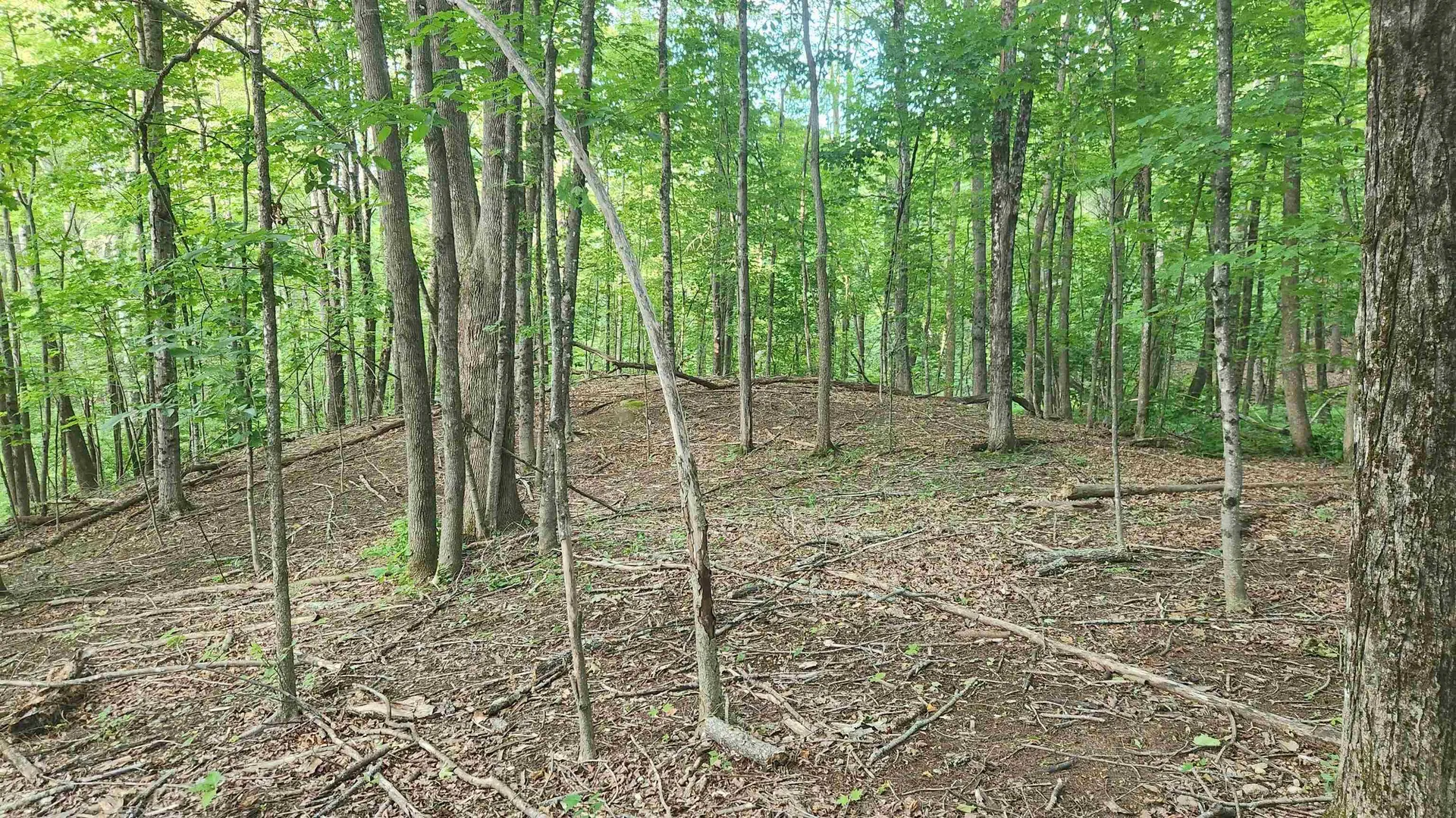 46-2 & 47 Route 153 Middleton NH 03887