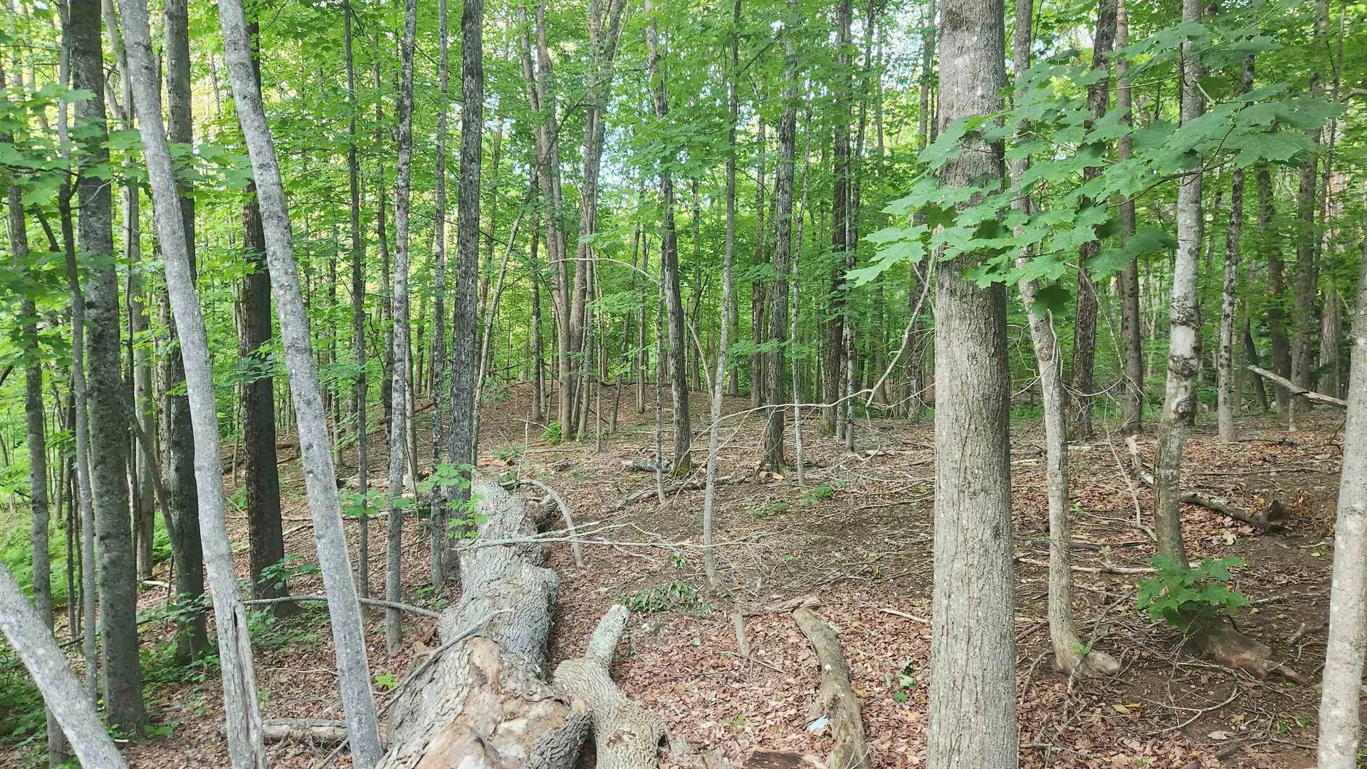 46-2 & 47 Route 153 Middleton NH 03887