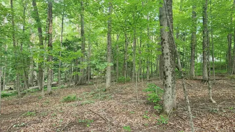 46-2 & 47 Route 153 Middleton NH 03887