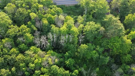 46-2 & 47 Route 153 Middleton NH 03887