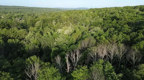 46-2 & 47 Route 153 Middleton NH 03887