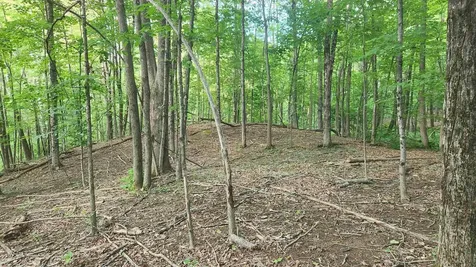 46-2 & 47 Route 153 Middleton NH 03887