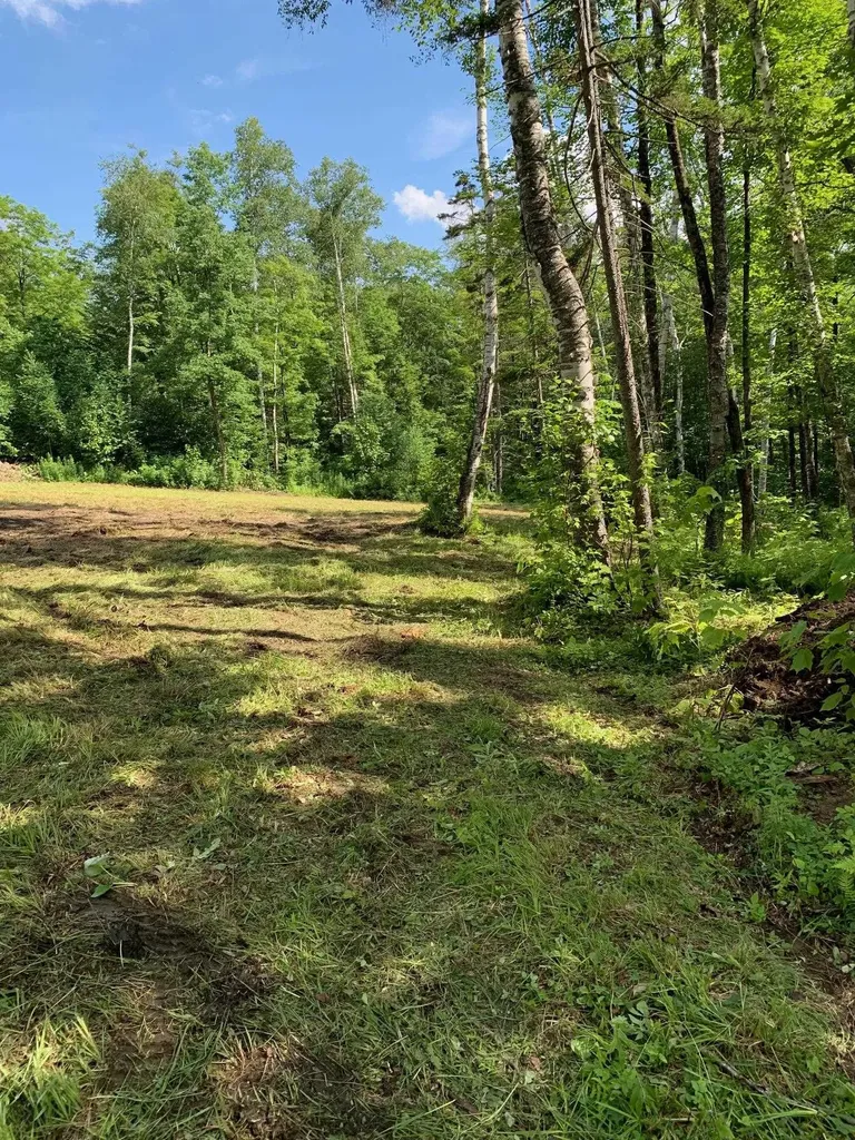 870 Little Sherburne Road Killington VT 05751