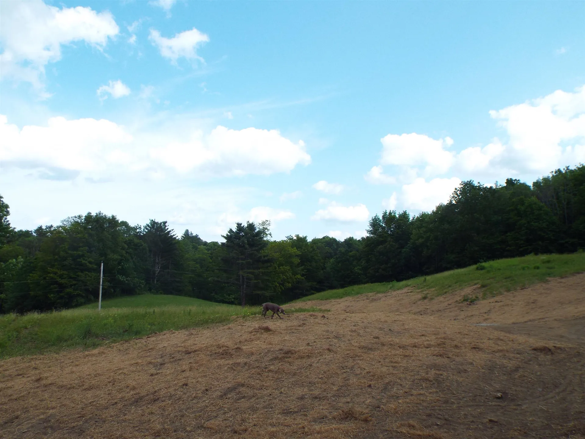 00 Quechee-hartland Road Hartland VT 05048