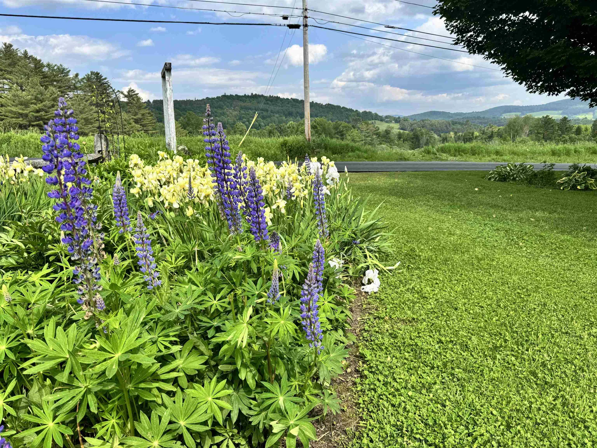 125 South Main Street Peacham VT 05862