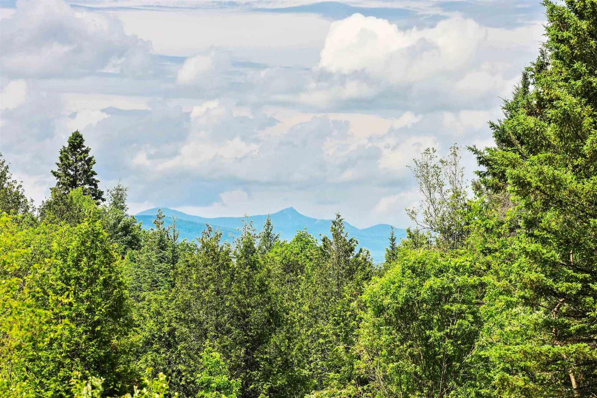 1435 Dexter Mountain Road Glover VT 05839