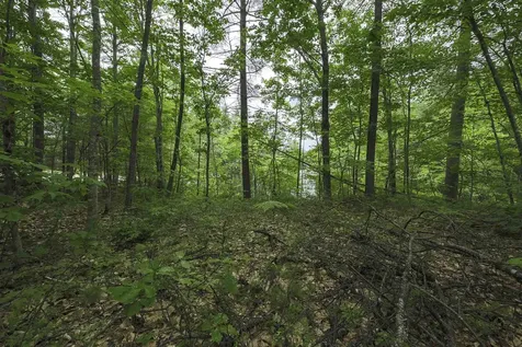 0 Monique Drive Wakefield NH 03830