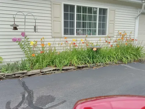 95 West Danforth Road Freedom NH 03836