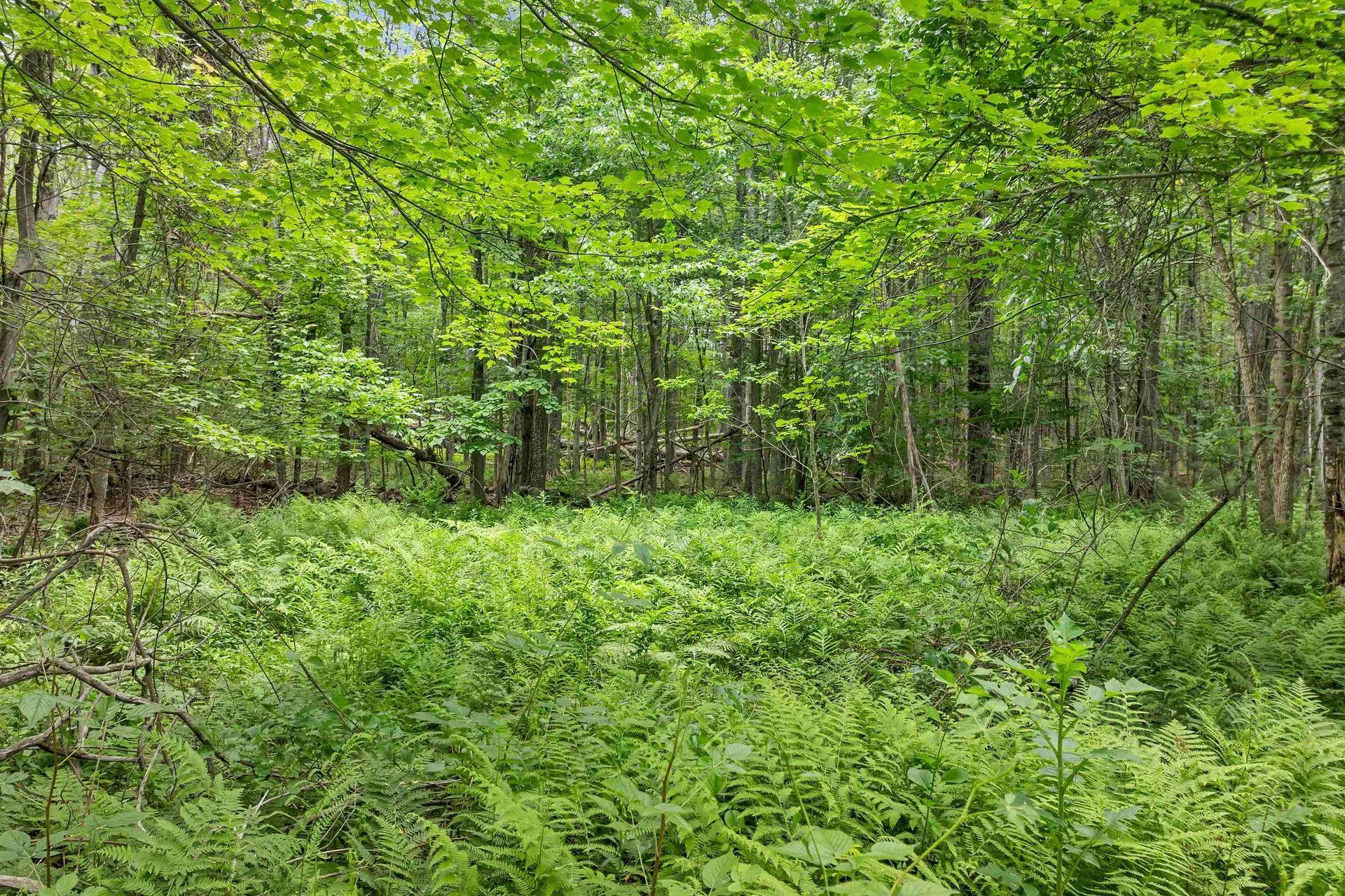 00000 Severance Road Laconia NH 03246