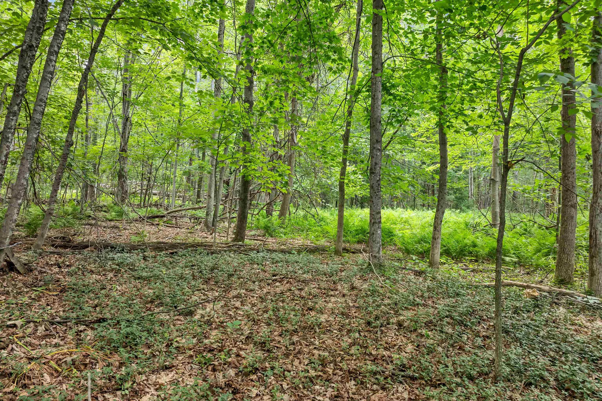 00000 Severance Road Laconia NH 03246