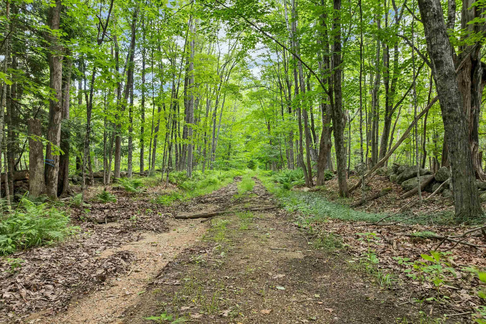 00000 Severance Road Laconia NH 03246