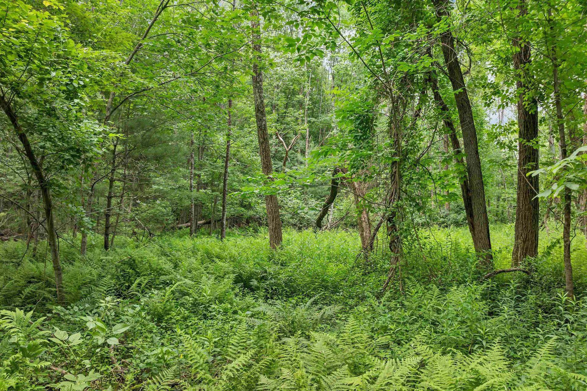 00000 Severance Road Laconia NH 03246