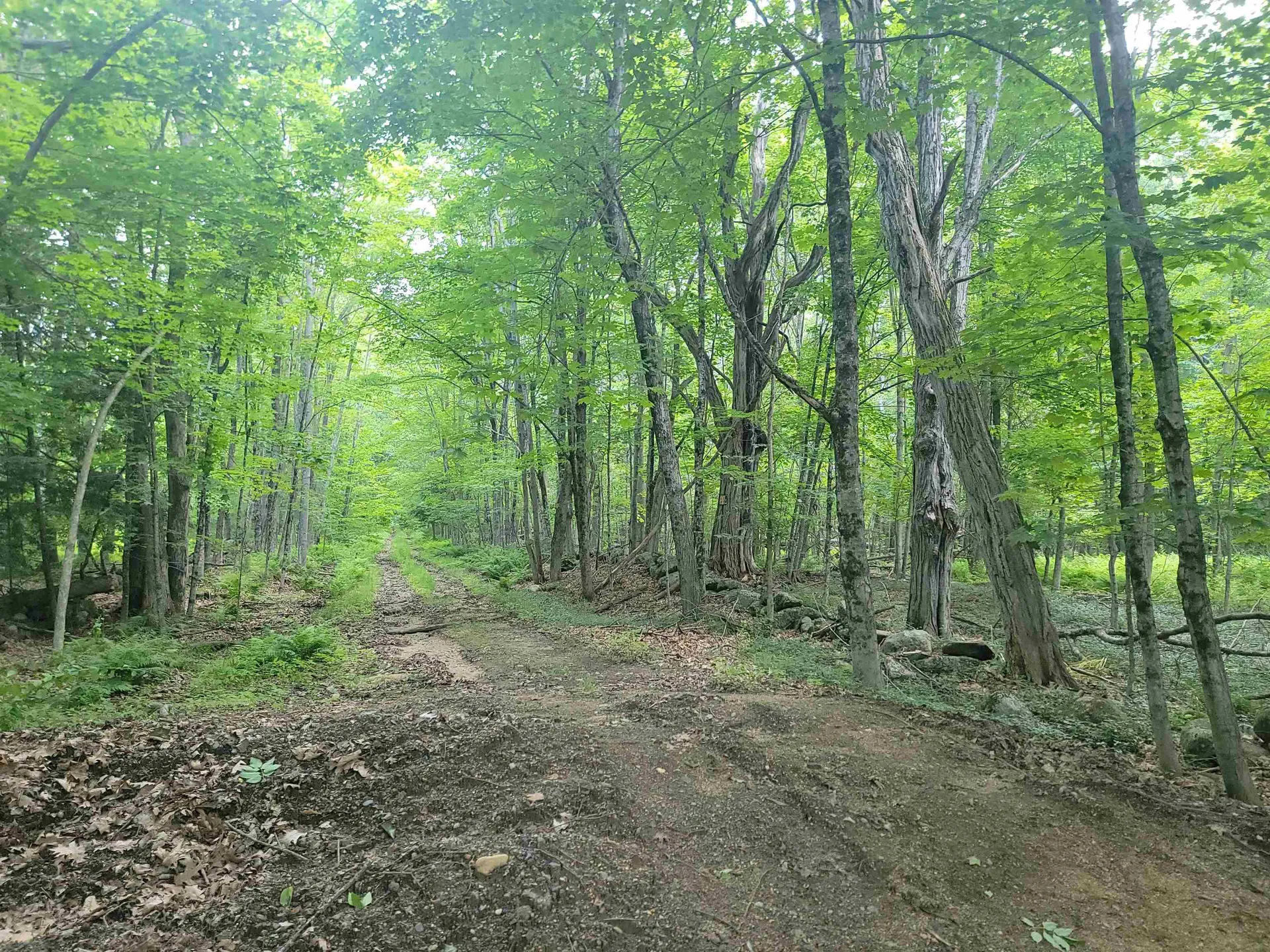 00000 Severance Road Laconia NH 03246