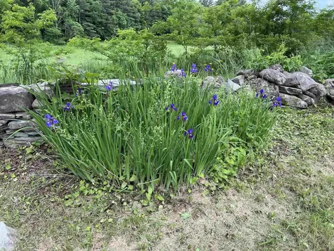 249 Ward Road Poultney VT 05764