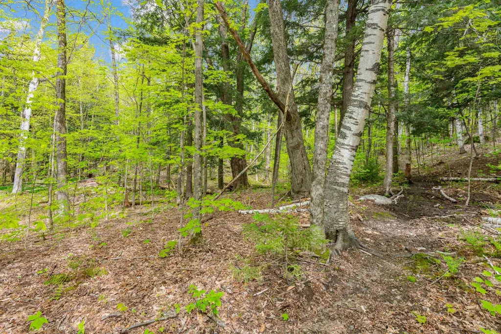 0 Phen Basin Road Fayston VT 05673