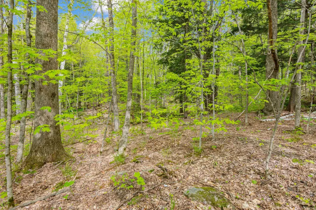 0 Phen Basin Road Fayston VT 05673