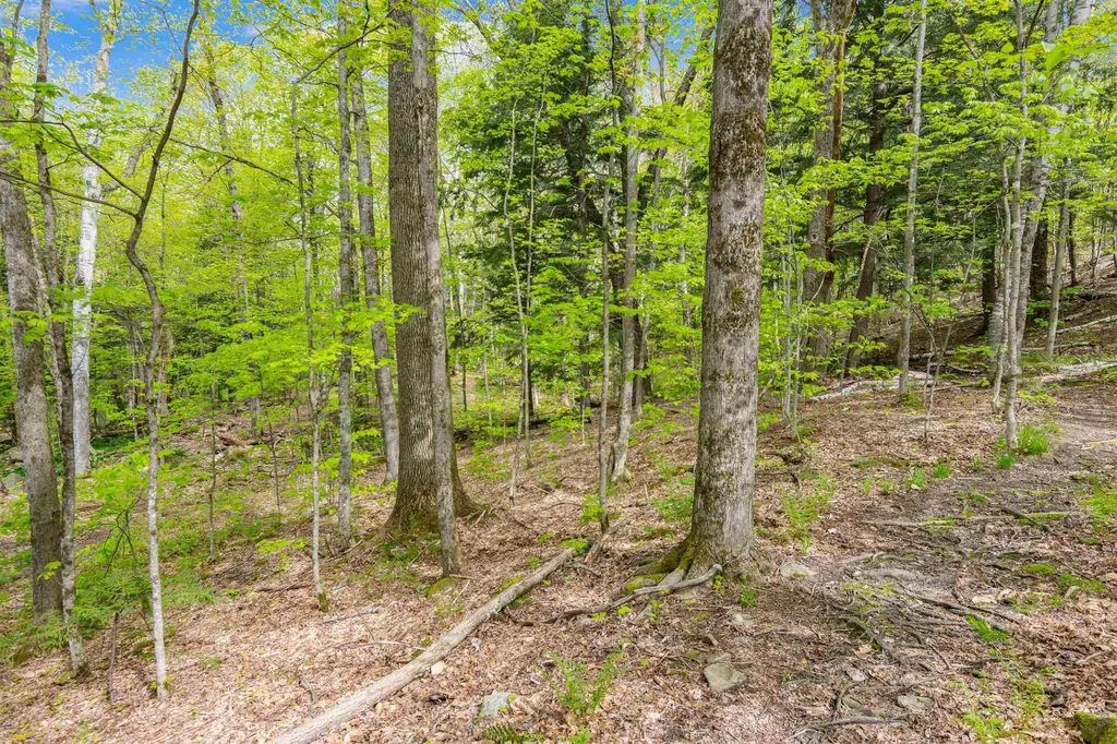 0 Phen Basin Road Fayston VT 05673