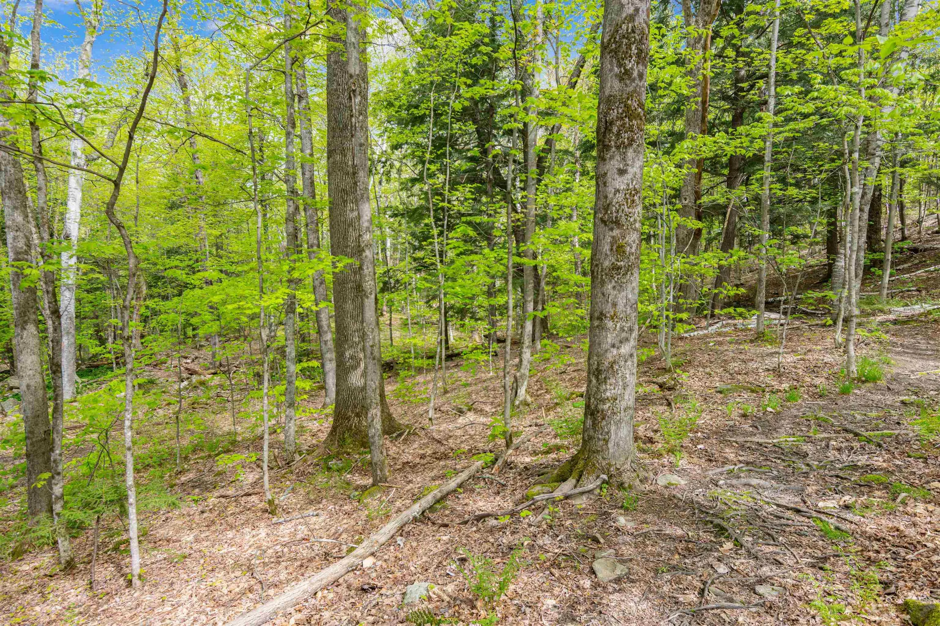0 Phen Basin Road Fayston VT 05673