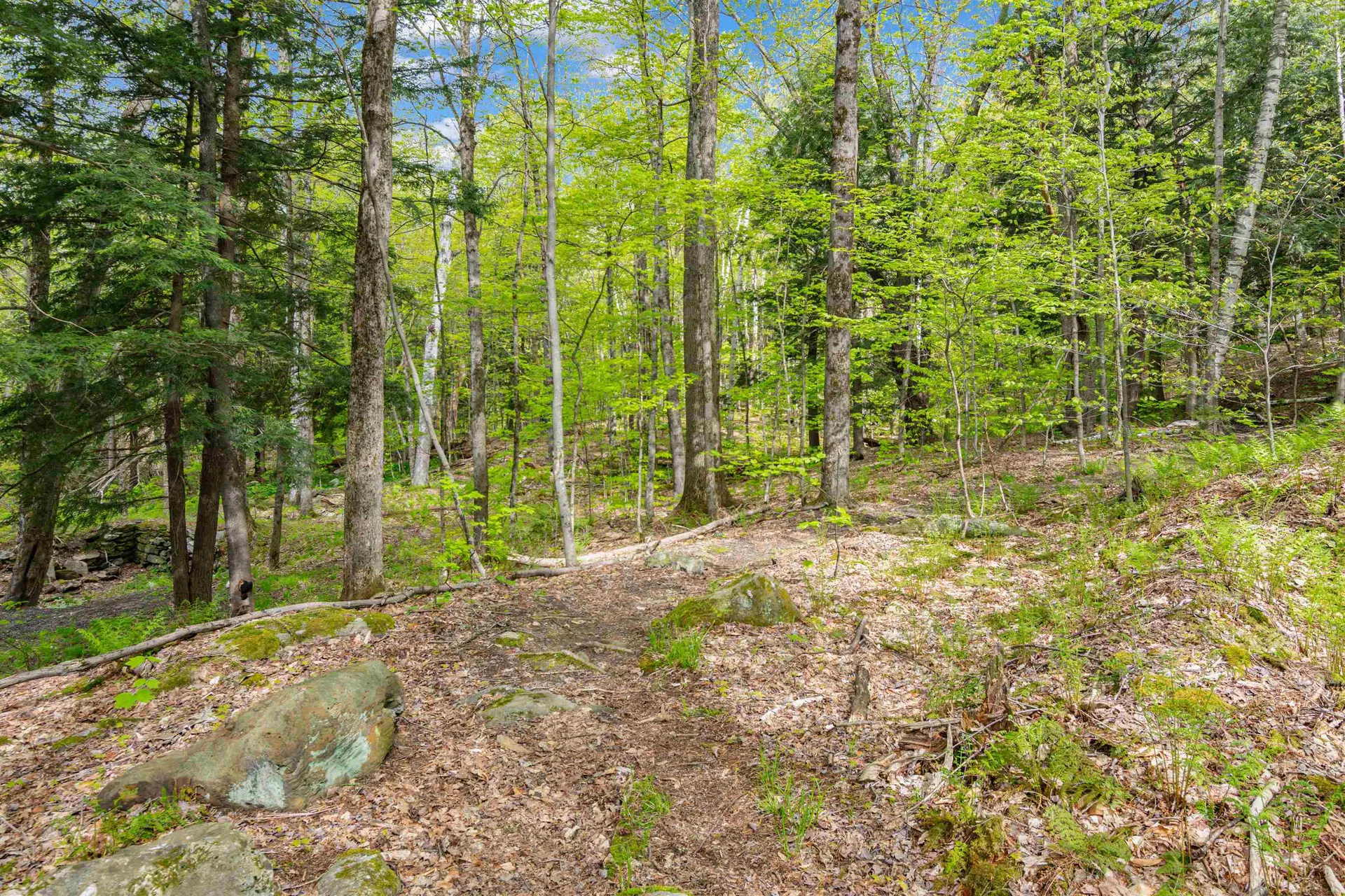 0 Phen Basin Road Fayston VT 05673