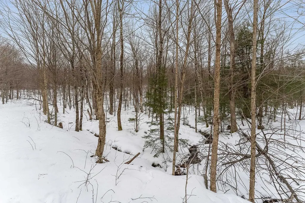 115 Stone Hill Road Bolton VT 05477