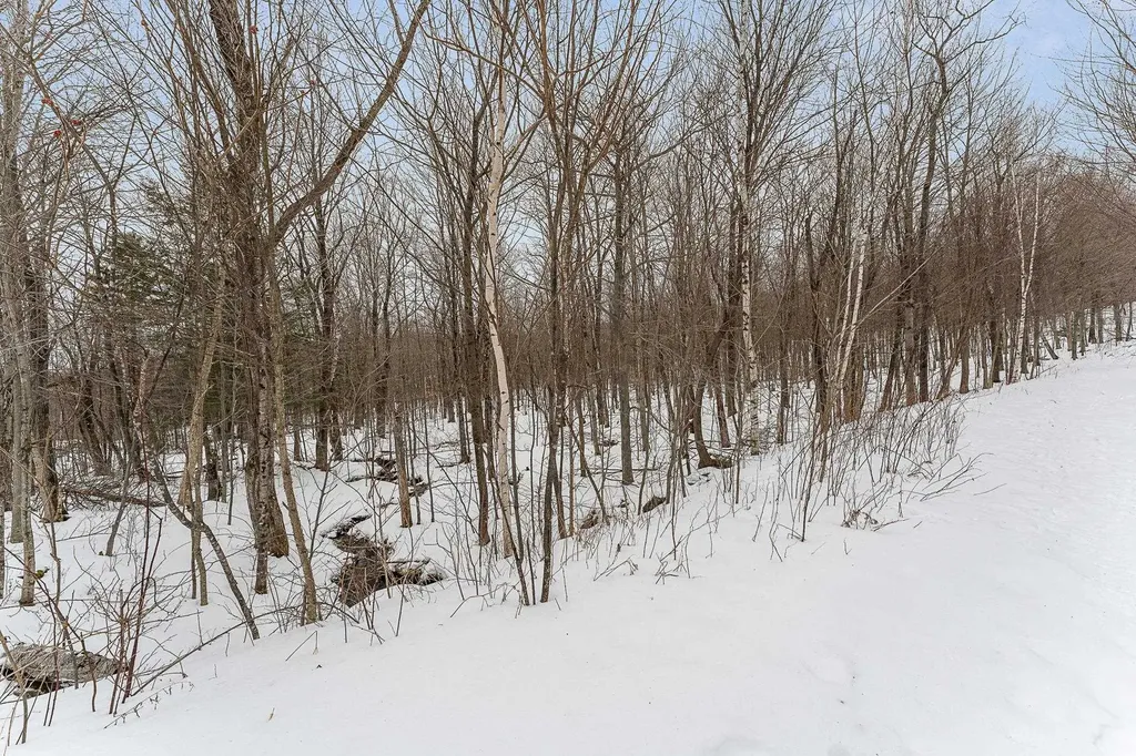 115 Stone Hill Road Bolton VT 05477