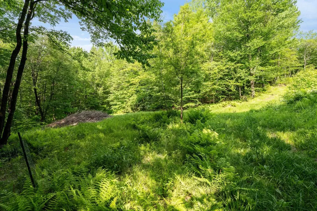 115 Stone Hill Road Bolton VT 05477