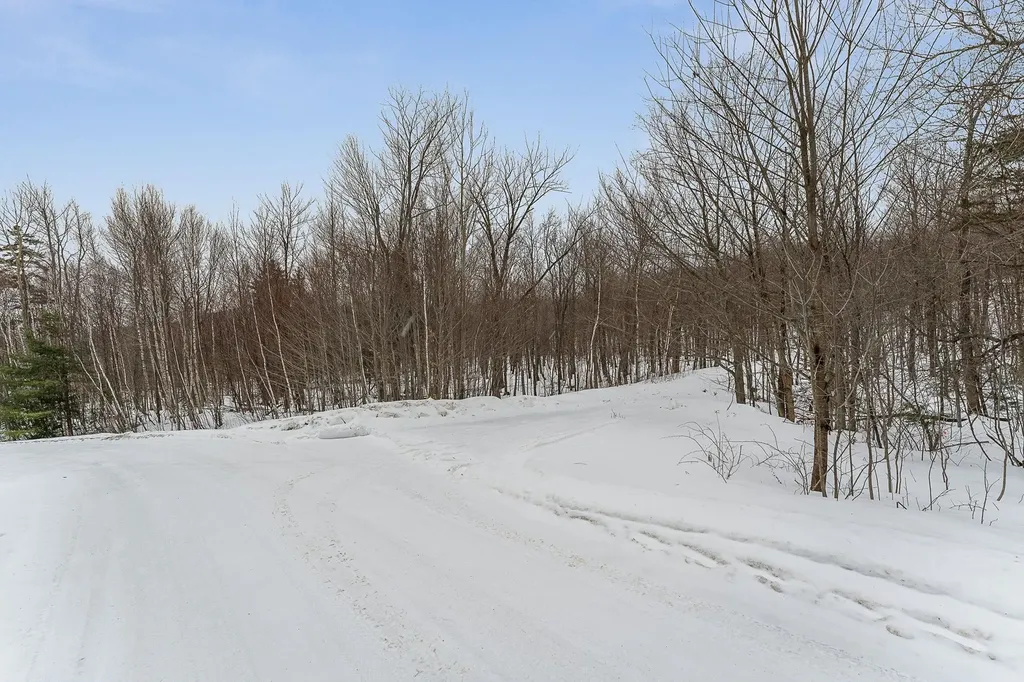 115 Stone Hill Road Bolton VT 05477