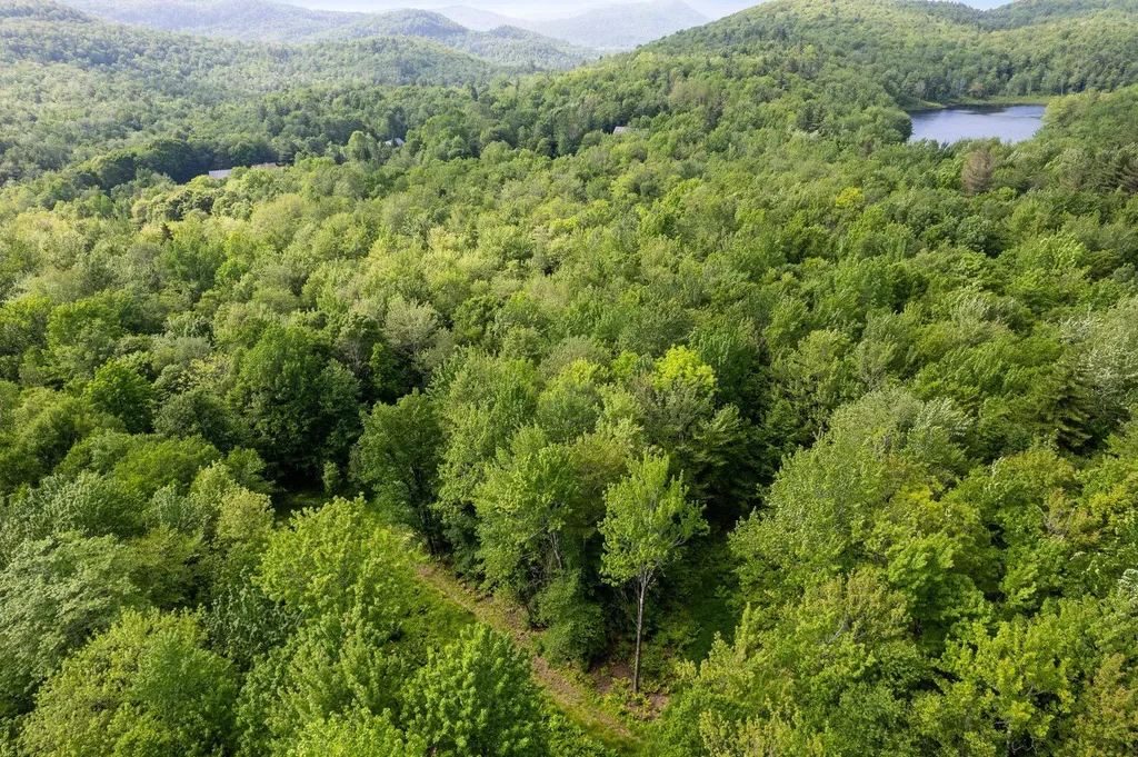 115 Stone Hill Road Bolton VT 05477