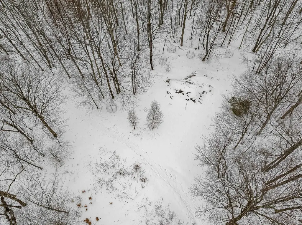 115 Stone Hill Road Bolton VT 05477