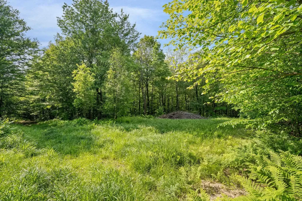 115 Stone Hill Road Bolton VT 05477