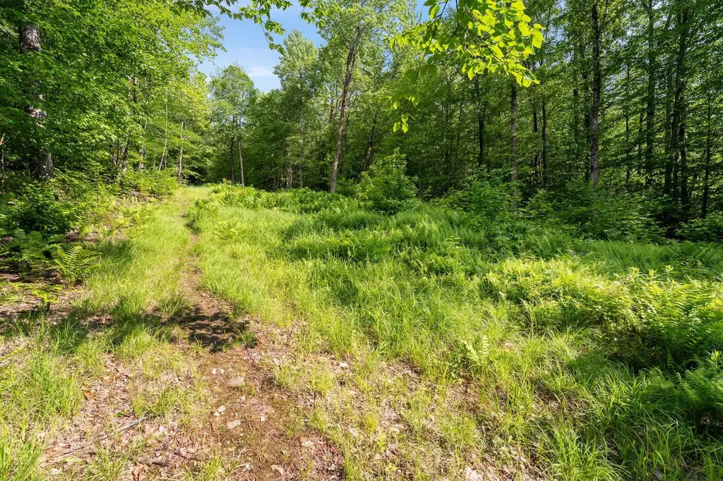 115 Stone Hill Road Bolton VT 05477