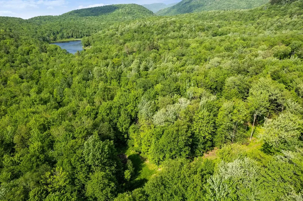 115 Stone Hill Road Bolton VT 05477