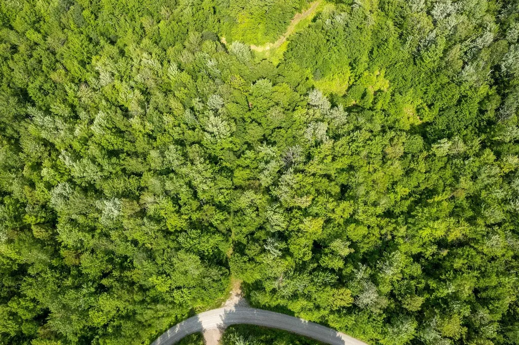 115 Stone Hill Road Bolton VT 05477