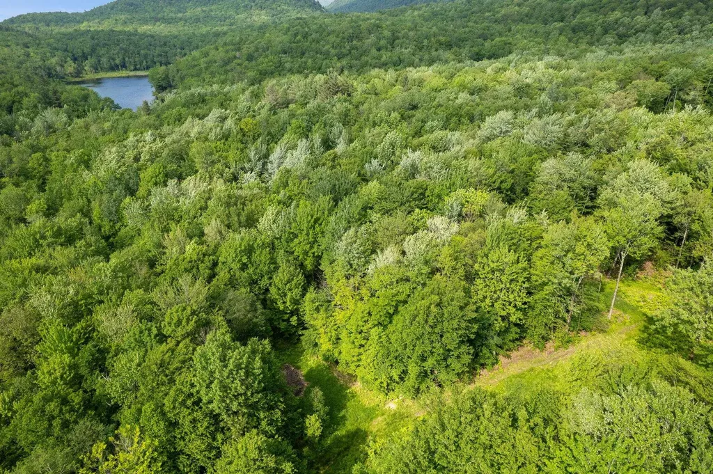 115 Stone Hill Road Bolton VT 05477