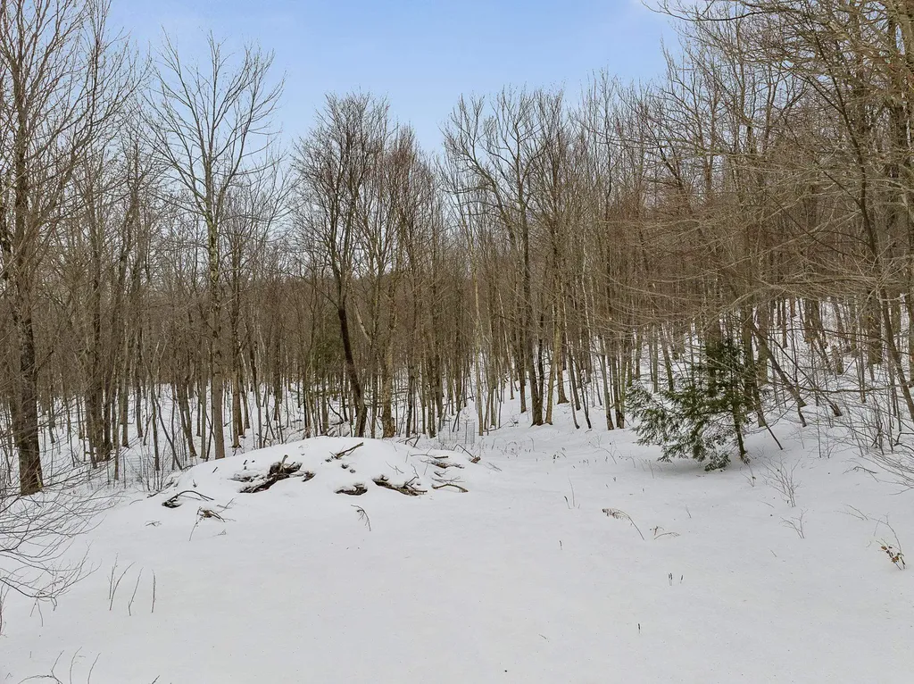 115 Stone Hill Road Bolton VT 05477