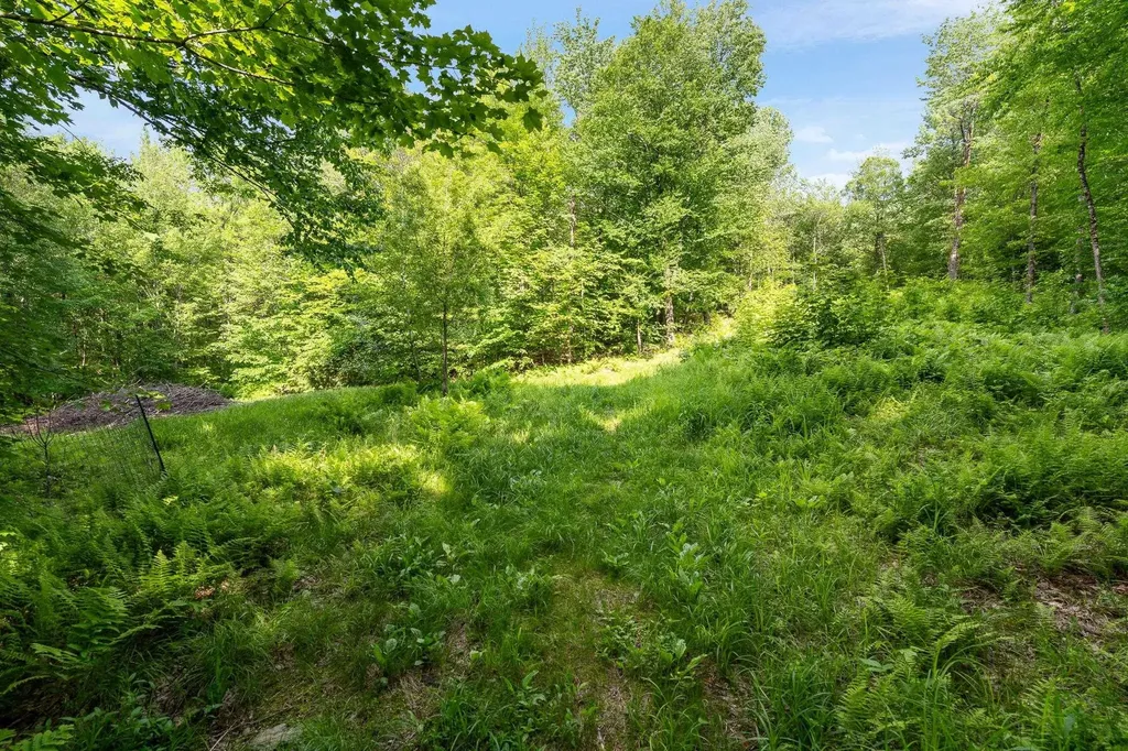 115 Stone Hill Road Bolton VT 05477