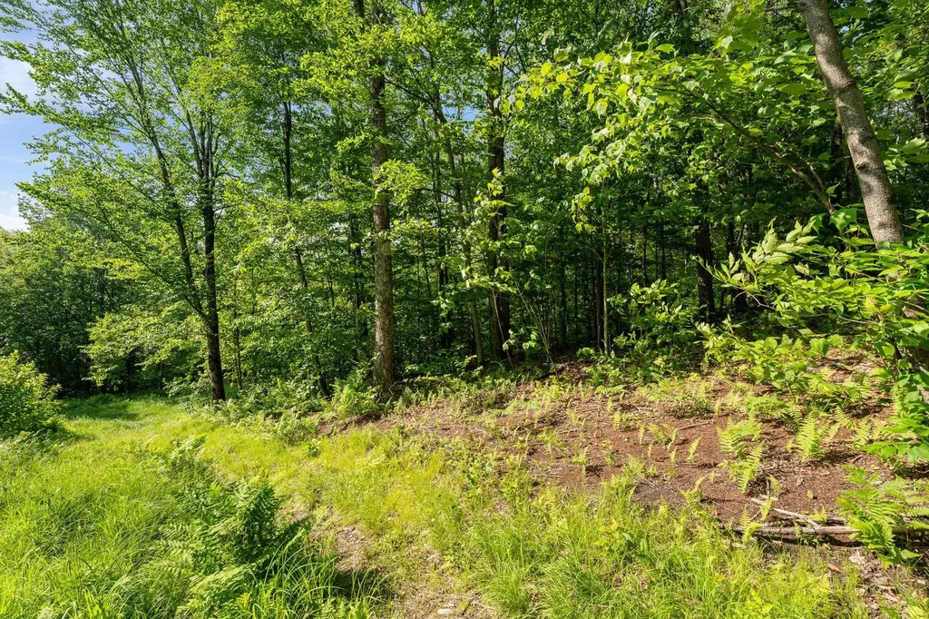 115 Stone Hill Road Bolton VT 05477