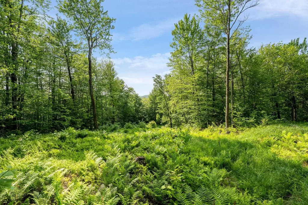 115 Stone Hill Road Bolton VT 05477